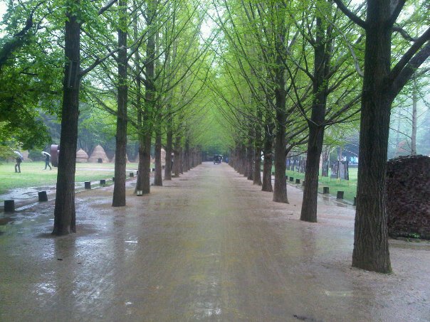 ทัวร์วังน้ำเขียว เขาใหญ่
